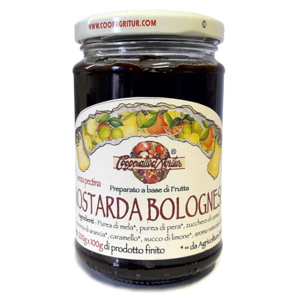 Mostarda Bolognese TOP BIO 350g Agritur